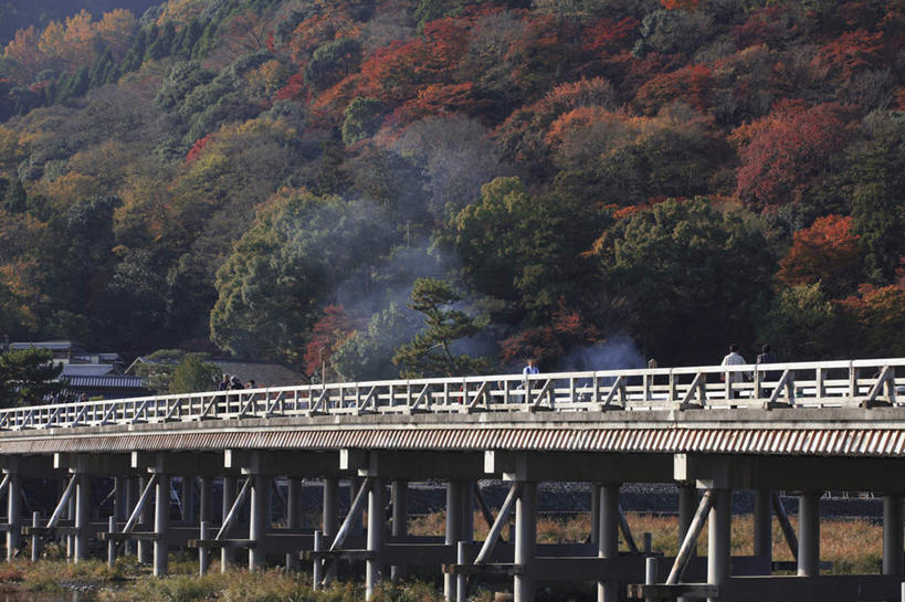 无人,栏杆,横图,室外,白天,正面,旅游,度假,河流,美景,秋季,森林,树林,水,植物,枫树,京都,日本,亚洲,阴影,光线,木板,影子,河水,景观,水流,云,云朵,围栏,桥,木桥,云彩,娱乐,护栏,栈桥,树,树木,蓝色,白云,蓝天,天空,阳光,自然,天,享受,休闲,烟,景色,放松,京都府,生长,晴朗,成长,人行桥,木板桥,自然风光,东亚,本州,本州岛,日本国,近畿地方,近畿,槭树,鸡爪槭,晴空,秋,秋天,鸡爪枫,彩图