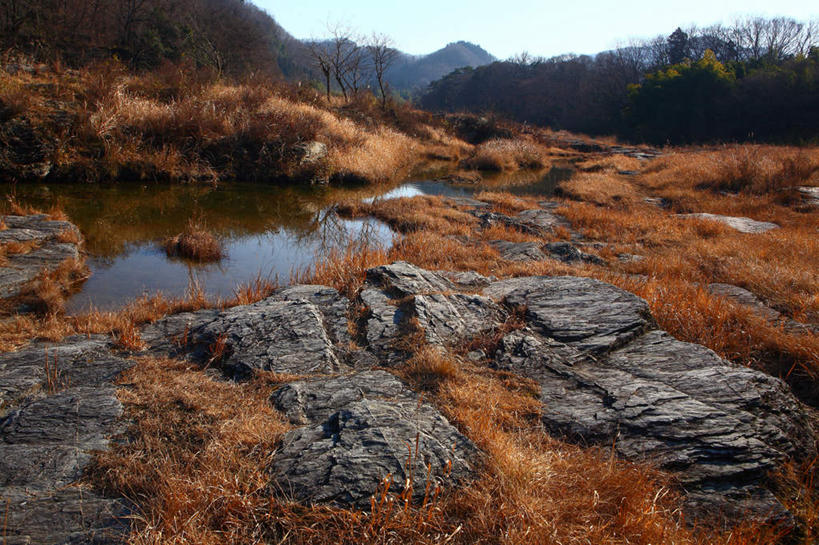无人,横图,室外,白天,正面,旅游,度假,湖,湖泊,石头,美景,森林,山,山脉,树林,水,植物,日本,亚洲,阴影,枯萎,反射,石子,影子,湖面,景观,山峰,水流,水面,枯草,山峦,娱乐,草,树,树木,黄色,绿色,自然,湖水,群山,享受,休闲,景色,放松,生长,成长,自然风光,东亚,本州,关东地方,本州岛,日本国,崎玉,崎玉县,石块,岩石,彩图