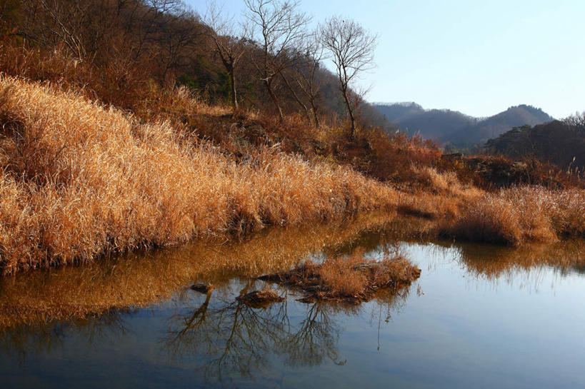 无人,横图,室外,白天,正面,旅游,度假,湖,湖泊,石头,美景,森林,山,山脉,树林,水,植物,日本,亚洲,阴影,枯萎,反射,石子,影子,湖面,景观,山峰,水流,水面,枯草,山峦,娱乐,草,树,树木,黄色,绿色,自然,湖水,群山,享受,休闲,景色,放松,生长,成长,自然风光,东亚,本州,关东地方,本州岛,日本国,崎玉,崎玉县,石块,岩石,彩图