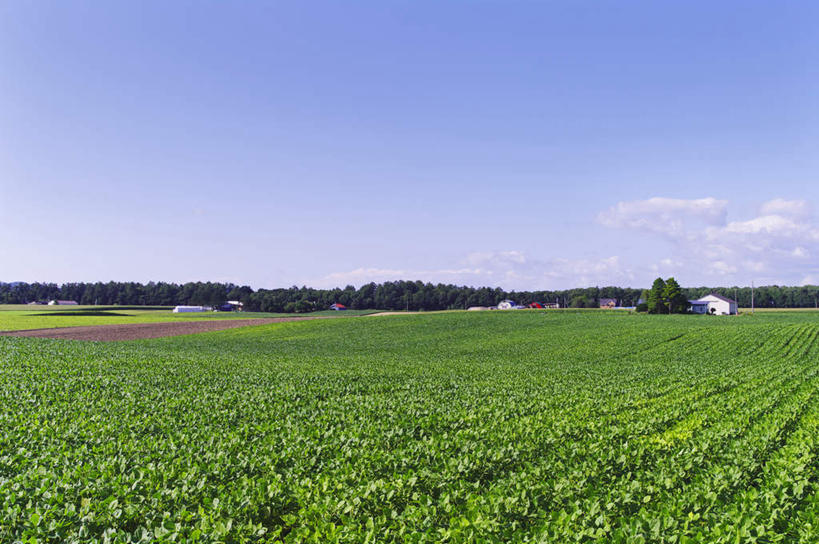 无人,横图,室外,白天,正面,旅游,度假,草地,草坪,美景,植物,北海道,日本,亚洲,景观,云,云朵,云彩,娱乐,草,树,树木,蓝色,绿色,白云,蓝天,天空,自然,天,享受,休闲,景色,放松,生长,晴朗,成长,自然风光,东亚,日本国,北海道地方,北海道岛,晴空,彩图