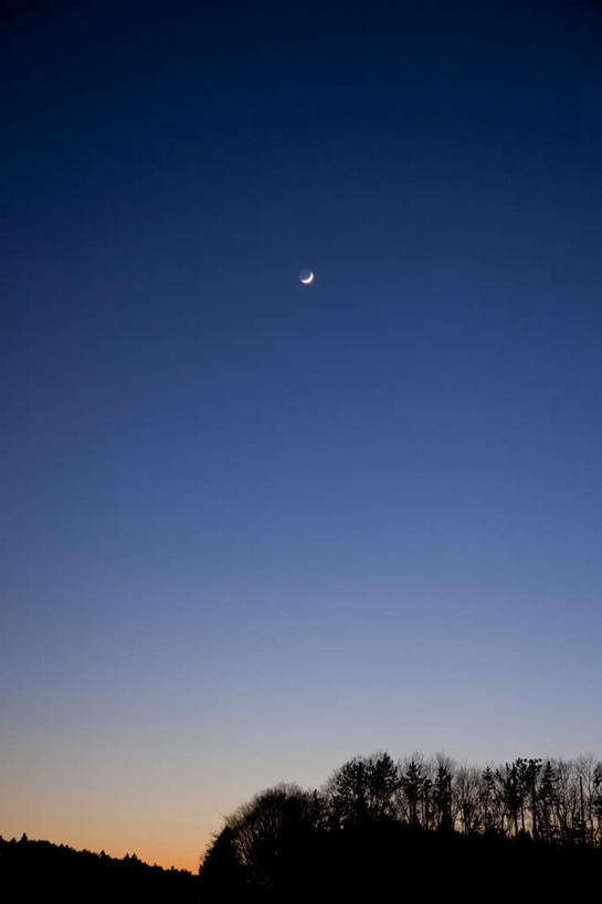 无人,竖图,室外,白天,仰视,旅游,度假,美景,森林,树林,植物,日本,亚洲,景观,月亮,月光,娱乐,树,树木,蓝色,绿色,蓝天,天空,自然,天,享受,休闲,景色,放松,生长,成长,明亮,自然风光,东亚,本州,关东地方,本州岛,日本国,栃木,栃木县,皎洁,彩图,低角度拍摄