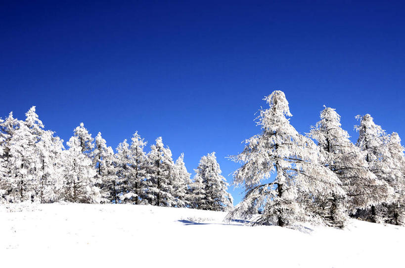 无人,横图,室外,白天,正面,旅游,度假,草地,草坪,美景,山,山脉,雪,植物,大雪,长野县,日本,亚洲,阴影,反射,影子,积雪,景观,山峰,雪景,冬季,冬天,山峦,娱乐,草,树,树木,蓝色,绿色,蓝天,天空,自然,群山,天,享受,休闲,景色,放松,寒冷,生长,晴朗,成长,自然风光,东亚,本州,万里无云,本州岛,日本国,中部地方,长野,严寒,晴空,晴空万里,彩图
