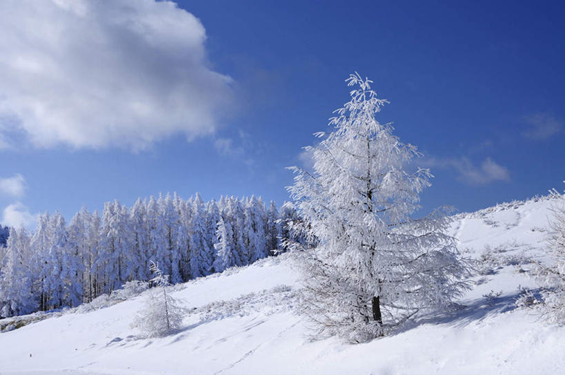 无人,横图,俯视,室外,白天,旅游,度假,草地,草坪,美景,山,山脉,雪,植物,大雪,长野县,日本,亚洲,一堆,阴影,堆叠,堆积,反射,影子,积雪,景观,山峰,雪景,云,云朵,冬季,冬天,山峦,云彩,娱乐,草,树,树木,蓝色,绿色,白云,蓝天,天空,自然,群山,天,享受,休闲,景色,放松,寒冷,生长,成长,堆,自然风光,东亚,本州,本州岛,日本国,中部地方,长野,严寒,彩图,高角度拍摄