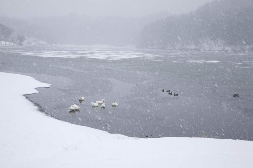 无人,横图,俯视,室外,白天,旅游,度假,湖,湖泊,美景,山,山脉,水,雪,植物,大雪,鸟,野生动物,天鹅,大分县,日本,亚洲,阴影,光线,鸟类,影子,湖面,积雪,景观,山峰,水流,水面,雪景,云,云朵,冬季,冬天,山峦,云彩,注视,娱乐,树,树木,一只,蓝色,绿色,白云,蓝天,天空,阳光,自然,动物,湖水,群山,天,观察,看,趴着,享受,休闲,景色,放松,寒冷,可爱,生长,成长,观看,察看,关注,自然风光,东亚,日本国,九州本岛,九州,九州岛,九州地方,严寒,大分,鹄,趴,彩图,高角度拍摄,全身