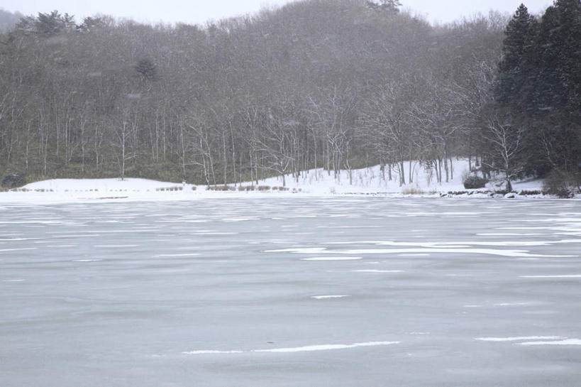 无人,横图,室外,白天,侧面,旅游,度假,草地,草坪,湖,湖泊,美景,山,山脉,水,雪,植物,大雪,大分县,日本,亚洲,阴影,光线,影子,湖面,积雪,景观,山峰,水流,水面,雪景,云,云朵,冬季,冬天,山峦,云彩,娱乐,草,树,树木,蓝色,绿色,白云,蓝天,天空,阳光,自然,湖水,群山,天,享受,休闲,景色,放松,寒冷,生长,成长,自然风光,东亚,日本国,九州本岛,九州,九州岛,九州地方,严寒,大分,彩图