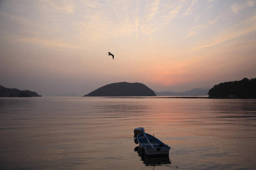 无人,横图,室外,白天,正面,旅游,度假,日出,海浪,海洋,礁石,石头,美景,水,太阳,船,鸟,大分县,日本,亚洲,一艘,波纹,飞溅,溅,飞行,鸟类,石子,液体,景观,浪花,水滴,木船,朝霞,晨曦,黎明,娱乐,水珠,一只,蓝色,水纹,天空,阳光,自然,海水,交通工具,波浪,天,享受,休闲,景色,放松,舟,喷洒,自然风光,载具,海景,东亚,日本国,九州本岛,九州,九州岛,九州地方,大分,大海,风浪,海,海水的波动,礁,近岸浪,石块,岩石,涌浪,朝阳,彩图,破晓