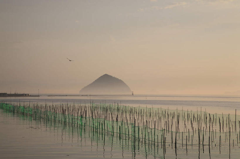 无人,农田,横图,室外,白天,正面,旅游,度假,庄稼,农作物,草地,草坪,海浪,海洋,美景,植物,大分县,日本,亚洲,阴影,波纹,光线,影子,景观,浪花,云,云朵,云彩,娱乐,草,蓝色,绿色,白云,蓝天,水纹,天空,阳光,自然,海水,波浪,天,享受,休闲,景色,放松,自然风光,海景,东亚,日本国,九州本岛,九州,九州岛,九州地方,大分,大海,风浪,海,海水的波动,近岸浪,涌浪,彩图,耕地,庄稼田