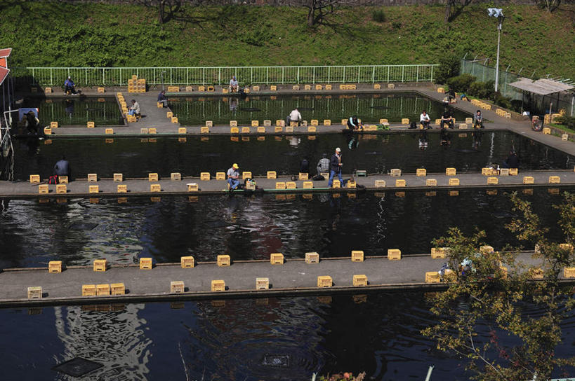 无人,栏杆,火车站,横图,俯视,室外,白天,旅游,度假,草地,草坪,河流,美景,水,植物,窗户,道路,地铁,街道,路,指示牌,公路,东京,日本,亚洲,一排,许多,波纹,整齐,标志,文字,河水,景观,水流,围栏,分界线,轨道交通,交通,娱乐,标识,护栏,玻璃窗,草,树,树木,排列,蓝色,绿色,蓝天,水纹,天空,自然,波浪,天,享受,休闲,景色,放松,千代田区,生长,成长,车行道,队列,自然风光,东亚,车行线,本州,关东地方,本州岛,日本国,东京都,马路,彩图,高角度拍摄,地铁机动车,地下铁,轻轨