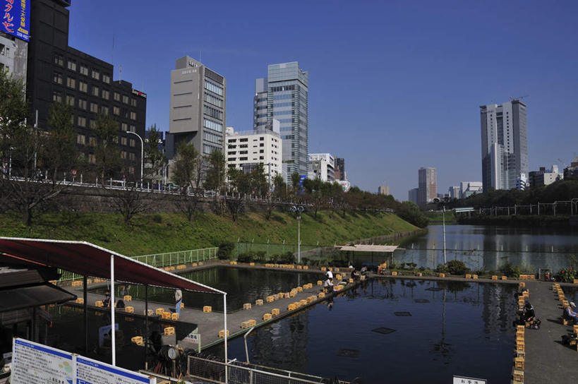 无人,高楼大厦,栏杆,火车站,横图,俯视,室外,白天,旅游,度假,草地,草坪,河流,美景,水,植物,窗户,楼梯,大厦,道路,地铁,建筑,街道,路,摩天大楼,指示牌,公路,东京,日本,亚洲,一排,许多,波纹,整齐,标志,文字,阶梯,河水,景观,水流,围栏,分界线,轨道交通,交通,娱乐,标识,护栏,玻璃窗,台阶,草,树,树木,排列,蓝色,绿色,蓝天,水纹,天空,自然,波浪,天,享受,休闲,景色,放松,千代田区,生长,成长,车行道,队列,自然风光,东亚,车行线,本州,关东地方,本州岛,日本国,东京都,马路,彩图,高角度拍摄,大楼,高层建筑,高楼,摩天楼,地铁机动车,地下铁,轻轨