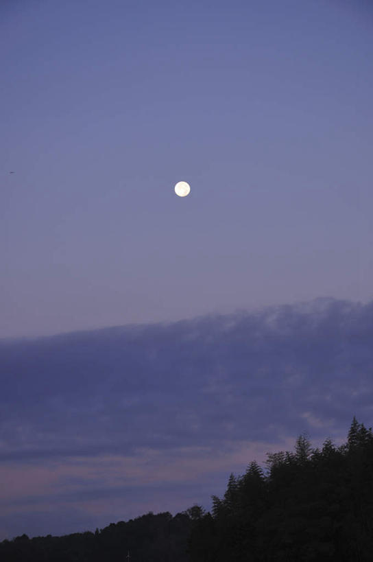 无人,竖图,俯视,室外,夜晚,旅游,度假,草地,草坪,美景,山,山脉,植物,日本,亚洲,阴影,反射,影子,景观,山峰,月亮,山峦,月光,千叶县,娱乐,草,树,树木,一个,蓝色,绿色,蓝天,天空,自然,群山,天,享受,休闲,景色,放松,生长,单个,成长,明亮,自然风光,东亚,本州,关东地方,本州岛,日本国,千叶,皎洁,彩图,高角度拍摄