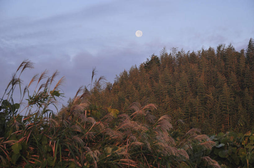 无人,横图,俯视,室外,夜晚,旅游,度假,草地,草坪,美景,山,山脉,植物,日本,亚洲,阴影,反射,影子,景观,山峰,月亮,山峦,月光,千叶县,娱乐,草,树,树木,一个,蓝色,绿色,蓝天,天空,自然,群山,天,享受,休闲,景色,放松,生长,单个,成长,明亮,自然风光,东亚,本州,关东地方,本州岛,日本国,千叶,皎洁,彩图,高角度拍摄