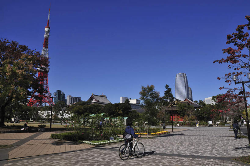 东方人,一个人,高楼大厦,坐,横图,室外,白天,仰视,旅游,度假,草地,草坪,美景,植物,大厦,道路,建筑,路,路灯,摩天大楼,公路,自行车,照明,东京,日本,亚洲,仅一个男性,仅一个人,一辆,握,阴影,光线,影子,景观,灯光,交通,注视,黄种人,娱乐,车,脚踏车,灯,草,树,树木,仅一个年轻男性,骑,蓝色,绿色,蓝天,天空,阳光,自然,交通工具,天,观察,看,享受,休闲,景色,放松,握着,生长,晴朗,成长,观看,照亮,察看,照明设备,关注,自然风光,载具,东亚,本州,万里无云,关东地方,本州岛,日本国,东京都,男人,男性,年轻男性,亚洲人,晴空,晴空万里,马路,坐着,彩图,低角度拍摄,全身,大楼,高层建筑,高楼,摩天楼