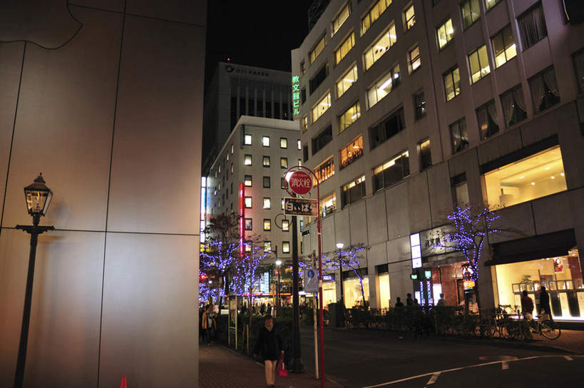 无人,高楼大厦,商店,横图,室外,夜晚,正面,购物,度假,消费,美景,植物,城市风光,超市,城市,大厦,道路,建筑,路,路灯,摩天大楼,指示牌,公路,汽车,照明,东京,许多,标志,文字,景观,灯光,分界线,停车线,交通,娱乐,标识,建设,车,灯,树,树木,绿色,白色,自然,交通工具,轿车,享受,休闲,景色,放松,金融,百货,生长,成长,车行道,车行道分界线,照亮,照明设备,载具,标线,选购,贸易,百货公司,车行线,本州,关东地方,本州岛,东京都,血拼,马路,彩图,大楼,高层建筑,高楼,购物商场,购物中心,摩天楼,商业中心