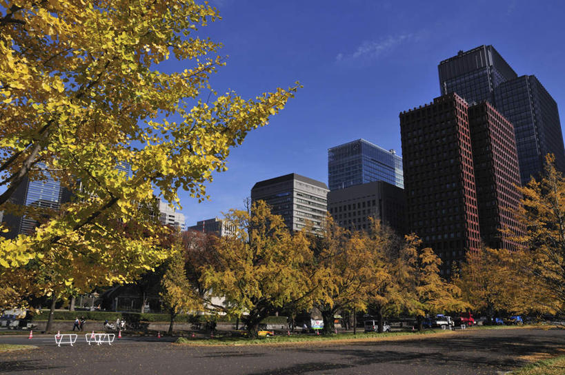 无人,高楼大厦,横图,室外,白天,仰视,度假,草地,草坪,美景,植物,城市风光,城市,大厦,道路,建筑,路,摩天大楼,公路,汽车,东京,阴影,光线,影子,景观,云,云朵,交通,云彩,娱乐,建设,车,草,树,树木,蓝色,绿色,白云,蓝天,天空,阳光,自然,交通工具,轿车,天,享受,休闲,景色,放松,生长,成长,载具,本州,关东地方,本州岛,东京都,马路,彩图,低角度拍摄,大楼,高层建筑,高楼,摩天楼