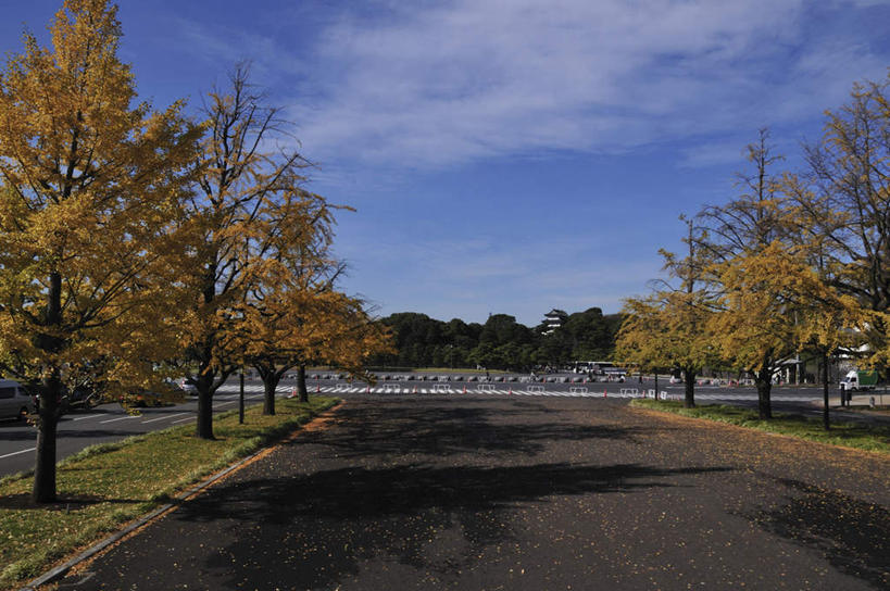 无人,栏杆,横图,室外,白天,正面,度假,草地,草坪,美景,植物,城市风光,城市,道路,路,公路,东京,阴影,光线,影子,景观,云,云朵,围栏,交通,云彩,娱乐,护栏,草,树,树木,蓝色,绿色,白云,蓝天,天空,阳光,自然,天,享受,休闲,景色,放松,生长,成长,本州,关东地方,本州岛,东京都,马路,彩图
