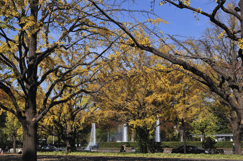 无人,栏杆,横图,室外,白天,正面,度假,草地,草坪,美景,水,植物,城市风光,城市,道路,路,喷泉,公路,东京,阴影,飞溅,溅,光线,液体,影子,景观,水滴,云,云朵,围栏,交通,云彩,文化,娱乐,护栏,水珠,草,树,树木,蓝色,绿色,白云,蓝天,天空,阳光,自然,天,品味,享受,休闲,景色,放松,生长,成长,喷洒,水景,本州,关东地方,本州岛,东京都,美观,设计,马路,彩图