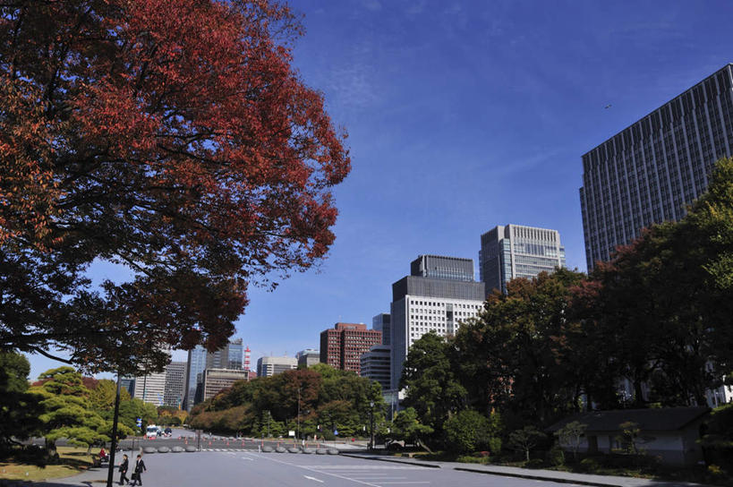 无人,高楼大厦,横图,室外,白天,仰视,度假,草地,草坪,美景,植物,城市风光,城市,大厦,道路,建筑,路,路灯,摩天大楼,公路,照明,东京,一排,阴影,整齐,光线,影子,景观,云,云朵,灯光,交通,云彩,娱乐,建设,灯,草,树,树木,排列,蓝色,绿色,白云,蓝天,天空,阳光,自然,天,享受,休闲,景色,放松,生长,成长,照亮,照明设备,队列,本州,关东地方,本州岛,东京都,马路,彩图,低角度拍摄,大楼,高层建筑,高楼,摩天楼