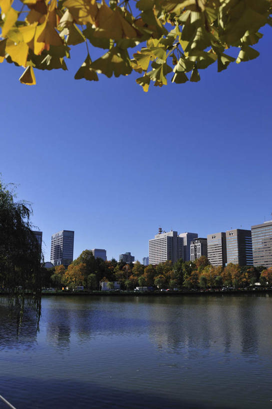 无人,高楼大厦,竖图,室外,白天,正面,度假,草地,草坪,河流,美景,水,植物,城市风光,城市,大厦,建筑,摩天大楼,东京,日本,亚洲,阴影,波纹,光线,影子,河水,景观,水流,娱乐,建设,草,树,树木,蓝色,绿色,蓝天,水纹,天空,阳光,自然,波浪,天,享受,休闲,景色,放松,生长,晴朗,成长,东亚,本州,万里无云,关东地方,本州岛,日本国,东京都,晴空,晴空万里,彩图,大楼,高层建筑,高楼,摩天楼