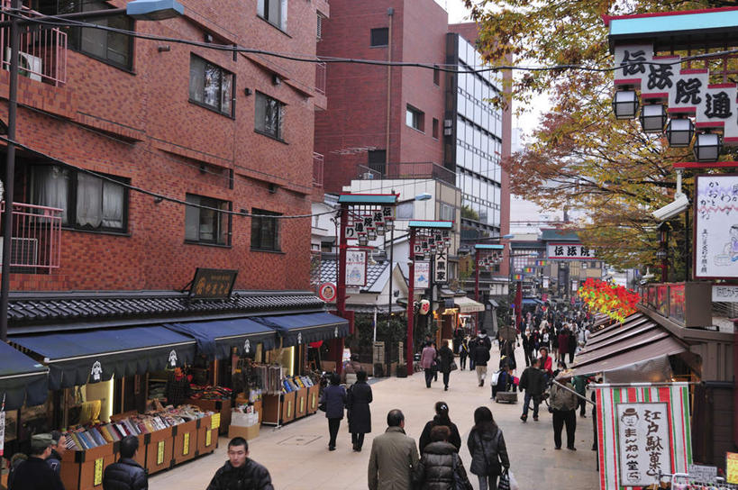 东方人,高楼大厦,商店,站,走,横图,俯视,室外,白天,购物,旅游,度假,消费,草地,草坪,美景,植物,城市风光,超市,城市,大厦,道路,建筑,路,路灯,摩天大楼,指示牌,公路,照明,东京,日本,亚洲,标志,文字,墙,景观,灯光,交通,许多人,黄种人,娱乐,标识,建设,墙壁,墙面,灯,草,树,树木,绿色,自然,站着,一群人,享受,休闲,景色,放松,金融,百货,生长,成长,照亮,照明设备,选购,贸易,百货公司,东亚,本州,关东地方,本州岛,日本国,东京都,血拼,亚洲人,马路,步行,散步,站立,走路,半身,彩图,高角度拍摄,游览,大楼,高层建筑,高楼,购物商场,购物中心,摩天楼,商业中心