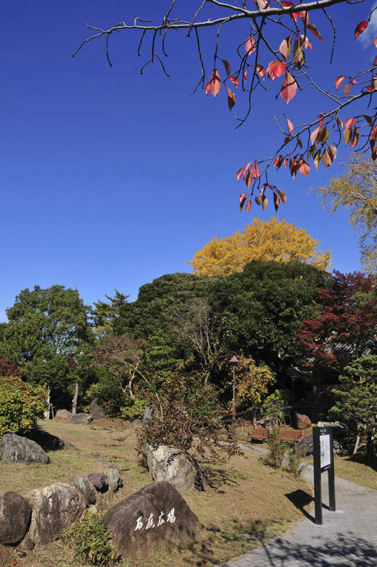 无人,竖图,俯视,室外,白天,旅游,度假,草地,草坪,美景,植物,道路,路,东京,日本,亚洲,一块,阴影,光线,影子,景观,云,云朵,小路,交通,云彩,娱乐,草,树,树木,蓝色,绿色,白云,蓝天,天空,阳光,自然,天,享受,休闲,景色,放松,乡间小路,生长,成长,自然风光,公告板,东亚,本州,关东地方,本州岛,日本国,东京都,彩图,高角度拍摄