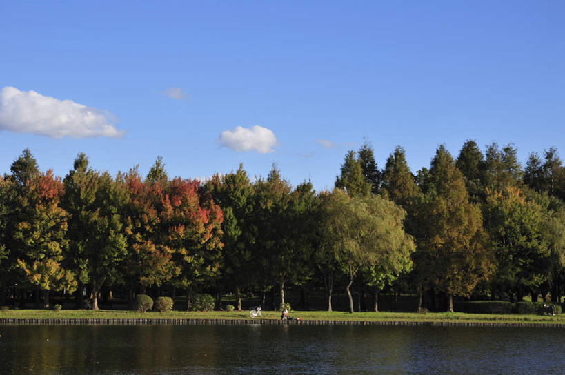 无人,栏杆,横图,室外,白天,正面,旅游,度假,草地,草坪,河流,美景,水,植物,东京,日本,亚洲,阴影,波纹,光线,影子,河水,景观,水流,云,云朵,围栏,云彩,娱乐,护栏,草,树,树木,蓝色,绿色,白云,蓝天,水纹,天空,阳光,自然,波浪,天,享受,休闲,景色,放松,生长,成长,自然风光,东亚,本州,关东地方,本州岛,日本国,东京都,彩图