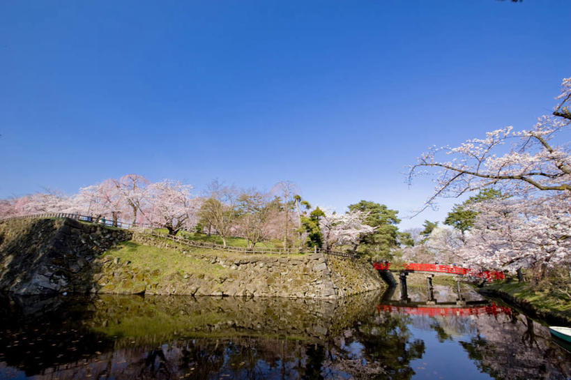 无人,栏杆,横图,室外,白天,正面,旅游,度假,河流,美景,水,植物,樱花,日本,亚洲,一座,盛开,木板,河水,景观,水流,围栏,桥,木桥,花蕾,娱乐,护栏,栈桥,花,花瓣,花朵,鲜花,树,树木,粉色,蓝色,绿色,蓝天,天空,自然,天,花苞,花蕊,享受,休闲,景色,放松,生长,晴朗,成长,人行桥,木板桥,自然风光,东亚,本州,万里无云,本州岛,日本国,青森,青森县,东北地方,仙樱花,福岛樱,青肤樱,弘前,弘前市,晴空,晴空万里,荆桃,彩图