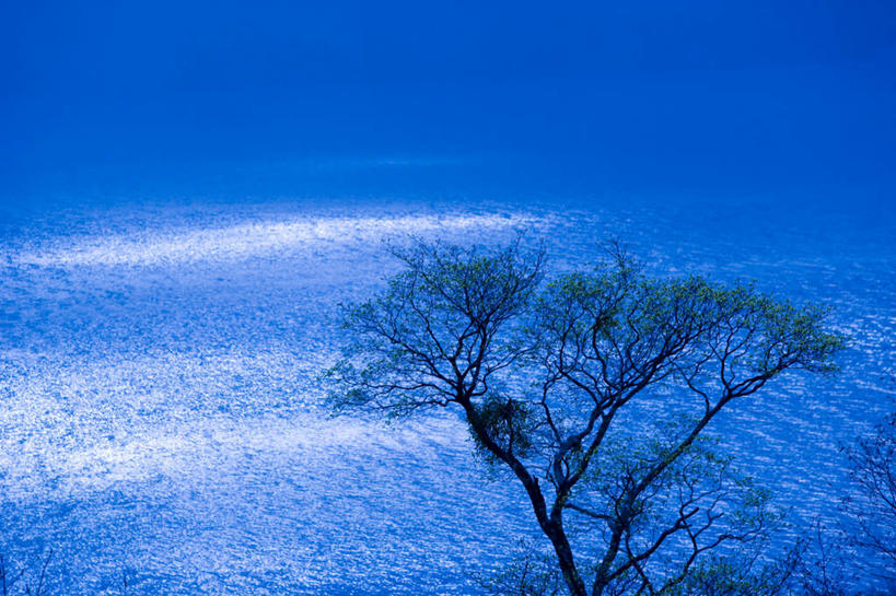 无人,横图,俯视,室外,白天,旅游,度假,湖,湖泊,美景,水,植物,秋田县,日本,亚洲,一棵,阴影,反射,影子,湖面,景观,水流,水面,枝条,娱乐,树,树干,树木,树枝,绿色,自然,湖水,享受,休闲,景色,放松,生长,成长,自然风光,东亚,本州,本州岛,日本国,秋田,东北地方,彩图,高角度拍摄