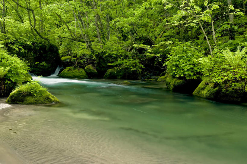无人,横图,室外,白天,正面,旅游,度假,草地,草坪,河流,美景,树林,水,植物,日本,亚洲,河水,景观,水流,娱乐,草,树,树木,绿色,自然,享受,休闲,景色,放松,生长,成长,自然风光,东亚,本州,本州岛,日本国,青森,青森县,东北地方,彩图