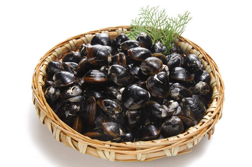 无人,横图,俯视,室内,特写,白天,白色背景,餐桌,桌面,桌子,一堆,许多,堆叠,堆积,篮子,蛤蜊,一个,蛤,摄影,藤编,影棚,单个,餐台,堆,蛤仔,彩图,高角度拍摄,影棚拍摄,拍摄