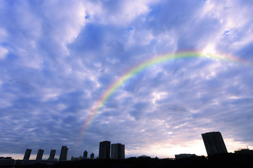 无人,高楼大厦,横图,室外,白天,仰视,度假,彩虹,美景,植物,城市风光,城市,大厦,建筑,摩天大楼,景观,云,云朵,云彩,娱乐,建设,树,树木,蓝色,绿色,白云,蓝天,天空,自然,天,享受,休闲,景色,放松,生长,晴朗,成长,虹,虹桥,七彩虹,晴空,天虹,彩图,低角度拍摄,大楼,高层建筑,高楼,摩天楼
