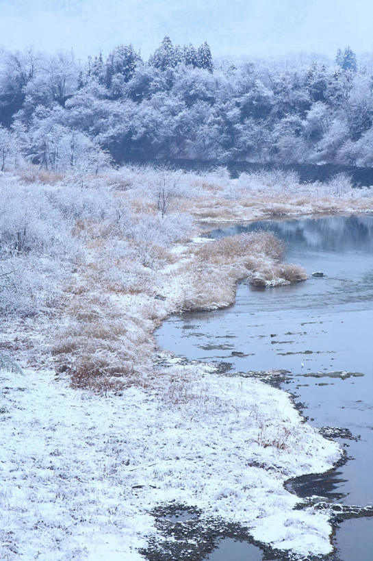 无人,竖图,俯视,室外,白天,旅游,度假,河流,美景,树林,水,雪,植物,大雪,日本,亚洲,河水,积雪,景观,水流,雪景,云,云朵,冬季,冬天,云彩,娱乐,树,树木,蓝色,绿色,白云,蓝天,天空,自然,天,享受,休闲,景色,放松,寒冷,生长,晴朗,成长,自然风光,东亚,本州,关东地方,本州岛,日本国,崎玉,崎玉县,严寒,晴空,彩图,高角度拍摄