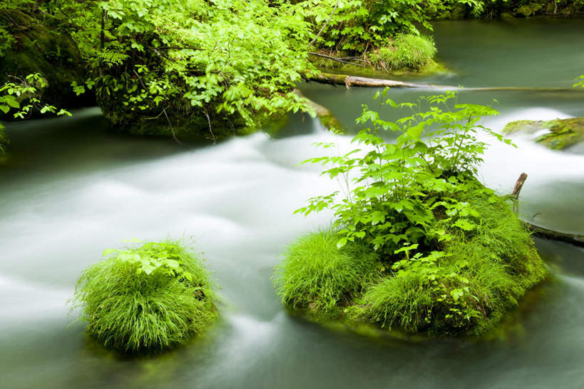 无人,横图,俯视,室外,白天,旅游,度假,草地,草坪,河流,礁石,石头,美景,树林,水,植物,日本,亚洲,石子,河水,景观,水流,娱乐,草,树,树木,绿色,小溪,自然,溪水,享受,休闲,景色,放松,生长,成长,自然风光,东亚,本州,本州岛,日本国,青森,青森县,东北地方,礁,石块,岩石,彩图,高角度拍摄