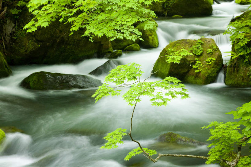 无人,横图,俯视,室外,白天,旅游,度假,草地,草坪,河流,礁石,石头,美景,树林,水,植物,日本,亚洲,石子,河水,景观,水流,娱乐,草,树,树木,绿色,小溪,自然,溪水,享受,休闲,景色,放松,生长,成长,自然风光,东亚,本州,本州岛,日本国,青森,青森县,东北地方,礁,石块,岩石,彩图,高角度拍摄