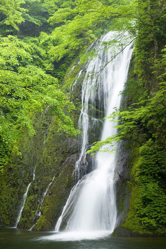 无人,竖图,室外,白天,正面,旅游,度假,草地,草坪,美景,瀑布,树林,水,植物,秋田县,日本,亚洲,飞溅,溅,液体,景观,水滴,娱乐,水珠,草,树,树木,绿色,自然,享受,休闲,景色,放松,生长,成长,喷洒,自然风光,东亚,本州,本州岛,日本国,秋田,东北地方,跌水,彩图