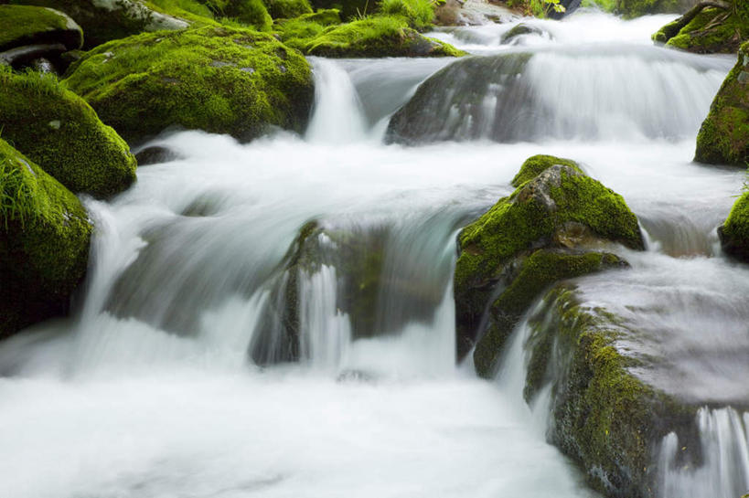 无人,横图,俯视,室外,白天,旅游,度假,河流,礁石,石头,美景,树林,水,植物,秋田县,日本,亚洲,石子,河水,景观,水流,娱乐,树,树木,绿色,小溪,自然,溪水,享受,休闲,景色,放松,生长,成长,自然风光,东亚,本州,本州岛,日本国,秋田,东北地方,礁,石块,岩石,彩图,高角度拍摄