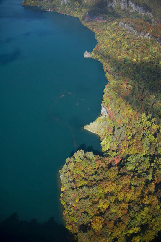 无人,竖图,俯视,航拍,室外,白天,旅游,度假,湖,湖泊,美景,森林,树林,水,植物,日本,亚洲,湖面,景观,水流,水面,云,云朵,云彩,娱乐,树,树木,蓝色,绿色,白云,蓝天,天空,自然,湖水,天,享受,休闲,景色,放松,生长,成长,鸟瞰,自然风光,东亚,本州,本州岛,日本国,青森,青森县,东北地方,十和田市,十和田,彩图,高角度拍摄