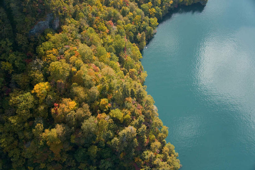 无人,横图,俯视,航拍,室外,白天,旅游,度假,湖,湖泊,美景,森林,树林,水,植物,日本,亚洲,湖面,景观,水流,水面,云,云朵,云彩,娱乐,树,树木,蓝色,绿色,白云,蓝天,天空,自然,湖水,天,享受,休闲,景色,放松,生长,成长,鸟瞰,自然风光,东亚,本州,本州岛,日本国,青森,青森县,东北地方,十和田市,十和田,彩图,高角度拍摄