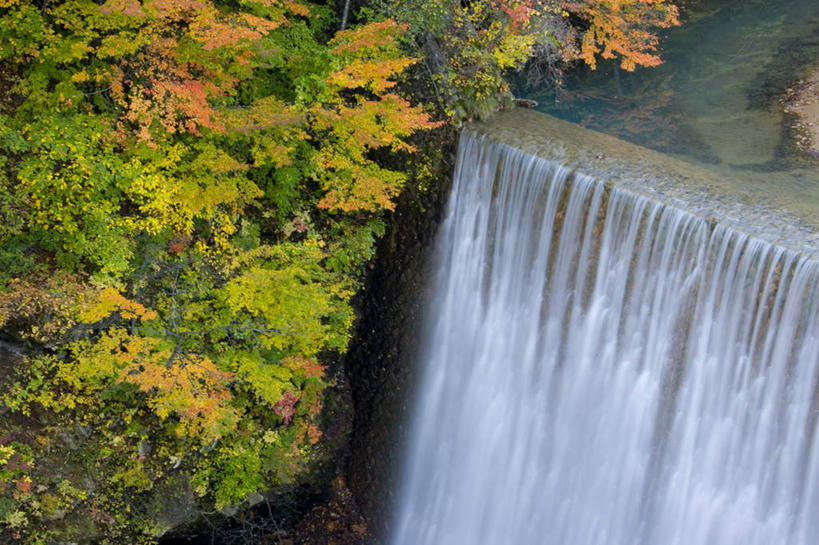 无人,横图,俯视,室外,白天,旅游,度假,美景,瀑布,秋季,森林,树林,水,植物,日本,亚洲,飞溅,溅,液体,景观,水滴,娱乐,水珠,树,树木,绿色,自然,享受,休闲,景色,放松,生长,成长,喷洒,自然风光,东亚,本州,本州岛,日本国,岩手,岩手县,东北地方,跌水,秋,秋天,彩图,高角度拍摄