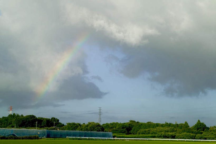 无人,横图,室外,白天,正面,旅游,度假,彩虹,草地,草坪,美景,植物,日本,亚洲,景观,云,云朵,云彩,娱乐,草,树,树木,蓝色,绿色,白云,蓝天,天空,自然,天,享受,休闲,景色,放松,生长,晴朗,成长,自然风光,东亚,本州,茨城,茨城县,关东地方,本州岛,日本国,虹,虹桥,七彩虹,晴空,天虹,彩图
