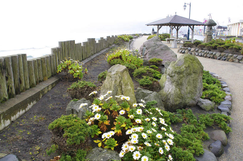 无人,栏杆,横图,俯视,室外,白天,旅游,度假,快乐,幸福,美景,树林,植物,道路,路,叶子,北海道,日本,亚洲,许多,盛开,景观,围栏,小路,绿叶,玛格丽特,交通,娱乐,护栏,雏菊,花,花瓣,花朵,花卉,鲜花,树,树木,绿色,白色,自然,花蕊,享受,休闲,嫩叶,菊花,景色,放松,活力,生长,成长,希望,坚强,自然风光,和平,东亚,离别,日本国,北海道地方,北海道岛,延命菊,幸福花,春菊,马兰头花,暗恋,纯情,单恋,天真,叶,叶片,彩图,高角度拍摄,愉快