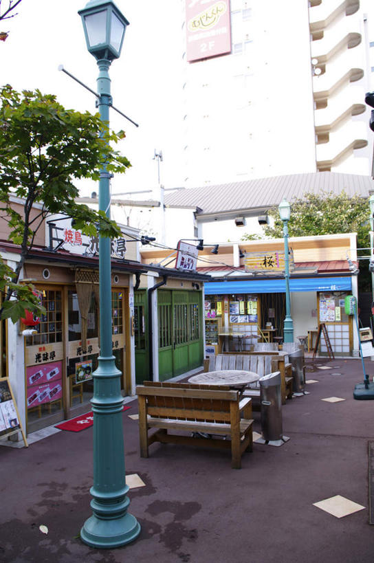 无人,竖图,室外,白天,正面,旅游,度假,美景,植物,道路,路,路灯,公路,照明,北海道,日本,亚洲,景观,灯光,交通,娱乐,灯,树,树木,绿色,自然,享受,休闲,景色,放松,生长,成长,照亮,照明设备,自然风光,东亚,日本国,北海道地方,北海道岛,马路,彩图