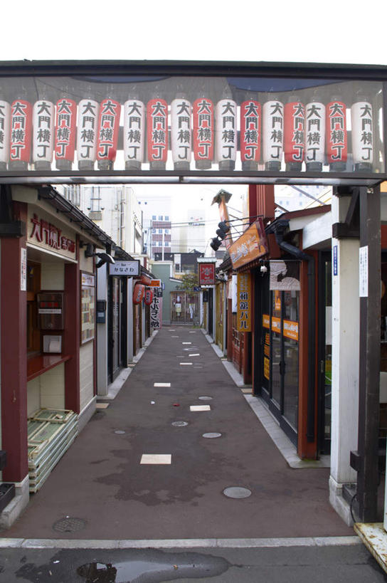 无人,竖图,室外,白天,仰视,旅游,度假,美景,道路,路,照明,北海道,日本,亚洲,一排,整齐,日文,标志,灯笼,文字,字符,景观,云,云朵,小路,灯光,交通,云彩,娱乐,标识,灯,排列,蓝色,白云,蓝天,天空,自然,灯具,天,享受,休闲,景色,放松,晴朗,照亮,照明设备,队列,自然风光,东亚,日本国,北海道地方,北海道岛,日语,晴空,彩图,低角度拍摄