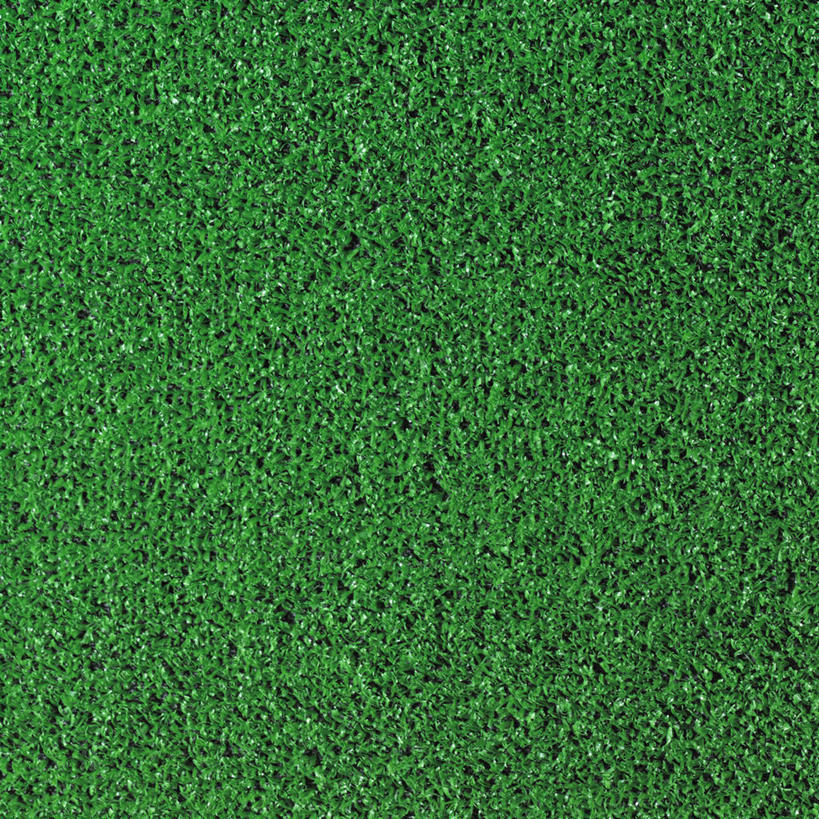 无人,方图,室内,特写,白天,正面,草地,草坪,植物,新鲜,纹路,纹理,草,绿色,草皮,青春,生命,和平,安详,肌理,冷色,彩图