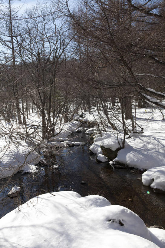 无人,公园,竖图,室外,白天,正面,旅游,度假,河流,美景,森林,树林,水,雪,植物,大雪,长野县,日本,亚洲,阴影,光线,影子,河水,积雪,景观,水流,雪景,冬季,冬天,娱乐,树,树木,蓝色,绿色,蓝天,天空,小溪,阳光,自然,天,溪水,享受,休闲,景色,放松,寒冷,生长,晴朗,成长,自然风光,东亚,本州,万里无云,本州岛,日本国,中部地方,山梨,山梨县,长野,严寒,蓼科山,晴空,晴空万里,彩图,国定公园,诹访富士,八岳中信高原国定公园