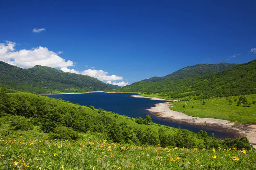 无人,横图,室外,白天,正面,旅游,度假,湖,湖泊,花海,花圃,美景,水,植物,萱草,叶子,日本,亚洲,阴影,盛开,光线,影子,湖面,景观,水流,水面,云,云朵,花蕾,云彩,娱乐,花,花瓣,花朵,花卉,鲜花,蓝色,绿色,白云,蓝天,天空,阳光,自然,湖水,花丛,花束,花田,天,花苞,花蕊,享受,休闲,景色,放松,晴朗,自然风光,东亚,本州,关东地方,本州岛,日本国,群马,群马县,疗愁,萱草花,宜男,晴空,忘忧草,金针菜,黄花菜,黄花,彩图,野反湖