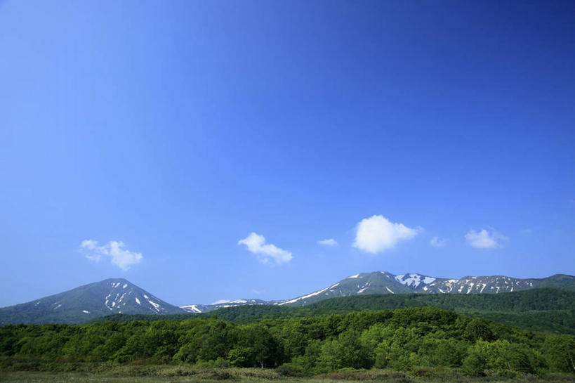 无人,横图,室外,白天,正面,旅游,度假,草地,草坪,美景,山,山脉,树林,植物,日本,亚洲,阴影,光线,影子,景观,山峰,云,云朵,山峦,云彩,娱乐,草,树,树木,蓝色,绿色,白云,蓝天,天空,阳光,自然,群山,天,享受,休闲,景色,放松,生长,晴朗,成长,自然风光,东亚,本州,本州岛,日本国,青森,青森县,东北地方,晴空,彩图,八甲田山