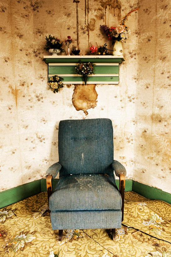 无人,竖图,室内,特写,白天,正面,植物,沙发,花瓶,许多,盛开,盆栽,陶瓷,墙,盆景,陶瓷制品,花蕾,破坏,破损,墙壁,墙面,花,花瓣,花朵,鲜花,绿色,自然,瓶子,花苞,花蕊,肮脏,生长,成长,损坏,布艺沙发,邋遢,龌龊,污秽,恶浊,彩图