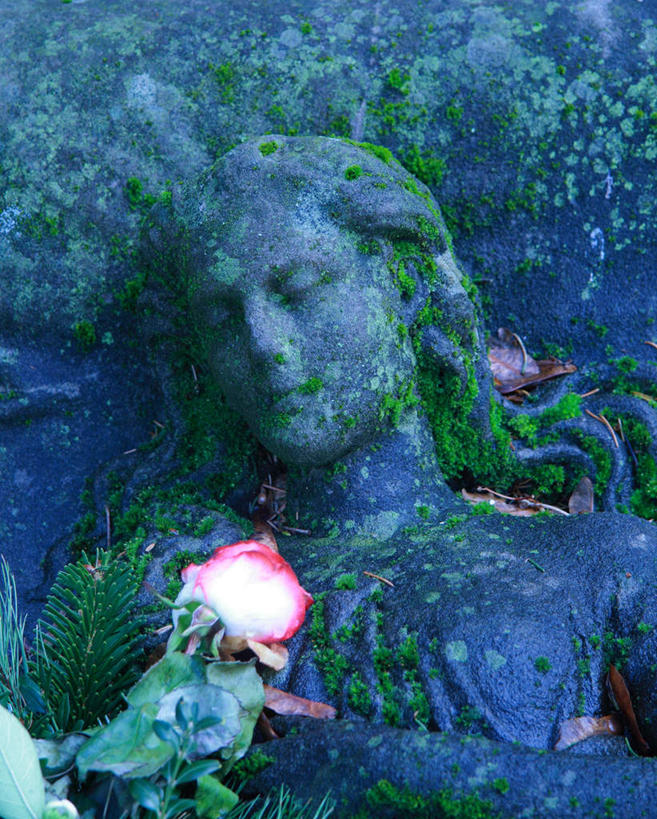 无人,竖图,俯视,室内,白天,爱情,幸福,纯洁,热情,玫瑰,雕塑,节日,艺术,装饰,盛开,雕刻,雕像,青苔,玫瑰花,苔藓,浪漫,花蕾,文化,石雕,花,花瓣,花朵,鲜花,粉色,工艺品,花苞,花蕊,祈祷,健康,温暖,温馨,恩爱,许愿,宗教,信仰,纪念,祈求,美术,和睦,基督教,天主教,主题,感动,陈列,功能,美学,尊敬,平安,天真,刺玫花,徘徊花,半身,彩图,高角度拍摄,融洽