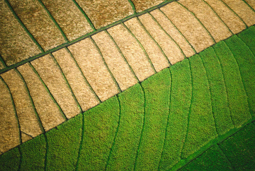 无人,农田,农场,横图,俯视,航拍,室外,白天,度假,畜牧业,牧场,庄稼,农作物,美景,田园,印度尼西亚,印尼,亚洲,阴影,光线,影子,景观,娱乐,阳光,享受,休闲,景色,巴厘岛,放松,东南亚,风光,鸟瞰,畜牧,印度尼西亚共和国,牧业,巴厘省,彩图,高角度拍摄,耕地,庄稼田