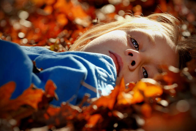 西方人,儿童,一个人,躺,横图,俯视,室外,白天,纯洁,秋季,叶子,欧洲,欧洲人,仅一个女性,仅一个人,阴影,服装,光线,影子,枫叶,枯叶,落叶,休闲装,小孩,衣服,黄色,红色,阳光,仅一个小孩,休闲,休闲服,可爱,童年,童趣,服饰,枫树叶,童真,烂漫,无邪,天真,女孩,女人,女性,白种人,孩子,叶,叶片,秋,秋天,躺着,半身,彩图,高角度拍摄,女生